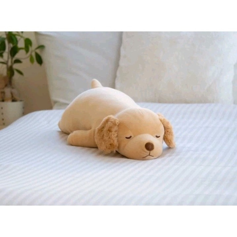 Body Pillow Premium Nemu Nemu Animals Golden Retriever Sora Medium Size Japan